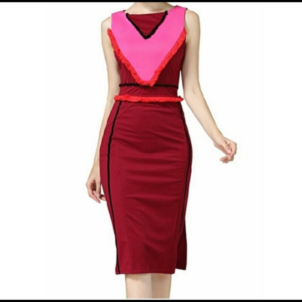 Beautiful bodycon dress with fringe detail